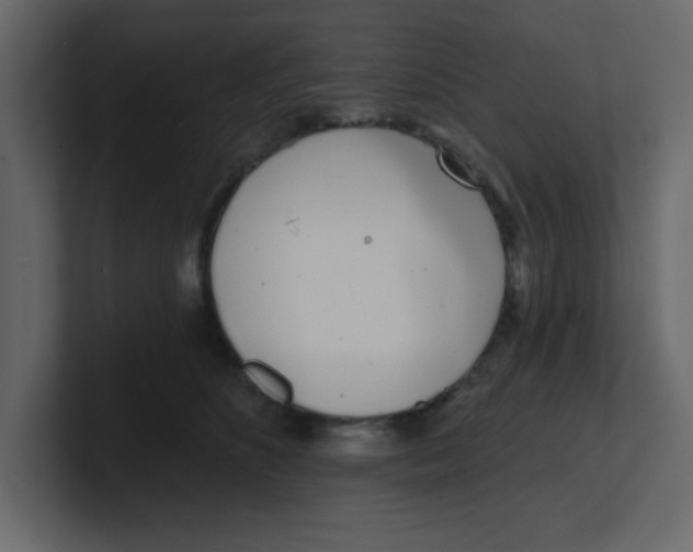 X0000100910516200807151141