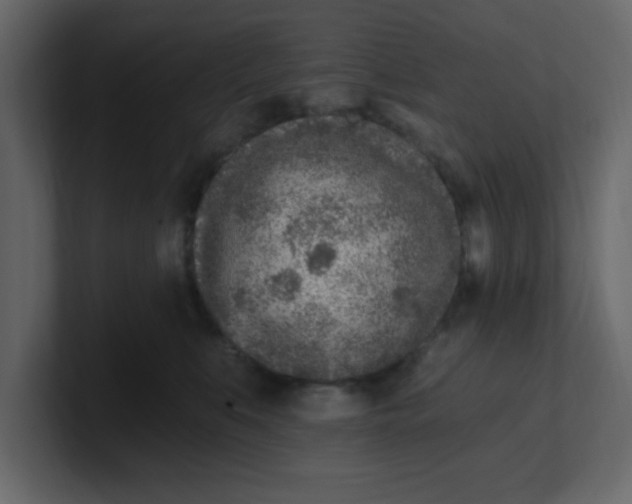 X0000100910519200807151141