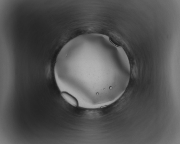 X0000100910520200807151141