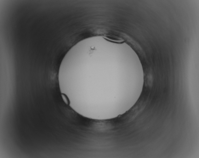 X0000100910521200807151141