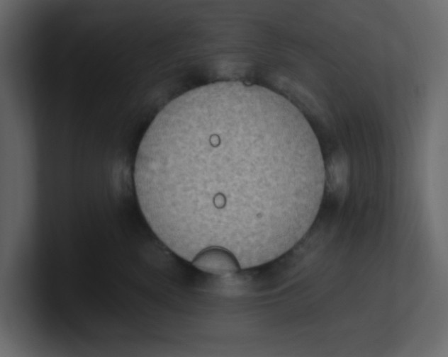 X0000100910522200807151141