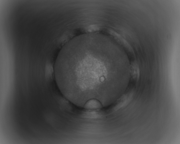 X0000100910523200807151141