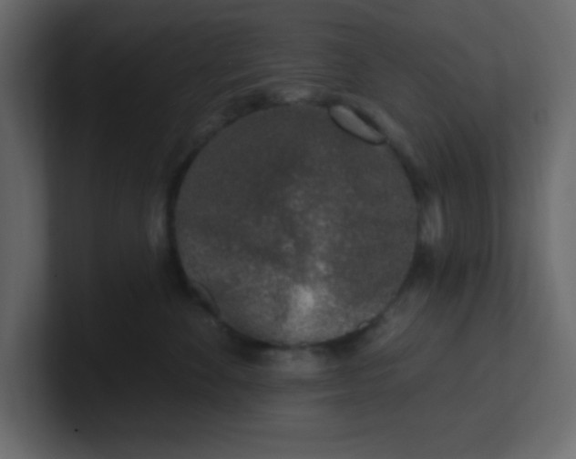 X0000100910524200807151141