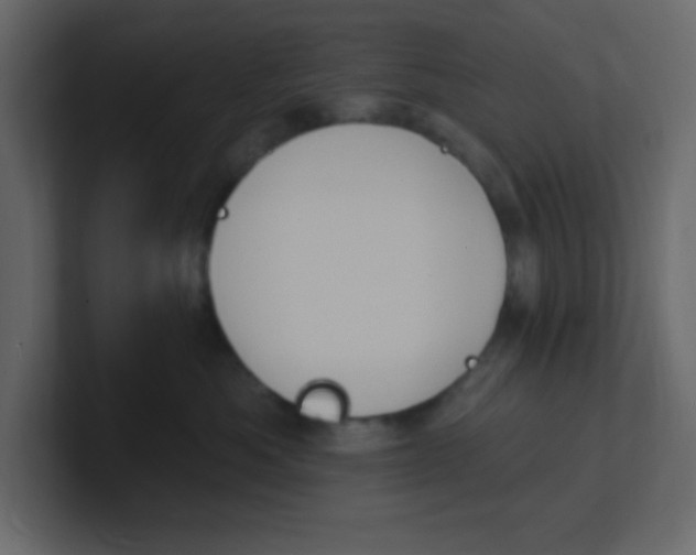 X0000100910525200807151141