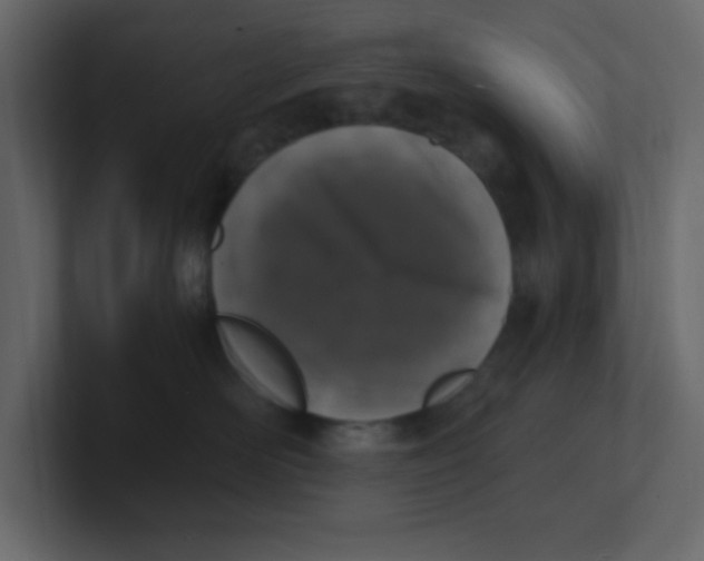 X0000100910526200807151141