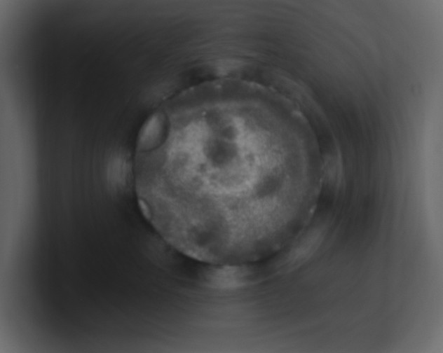 X0000100910527200807151141