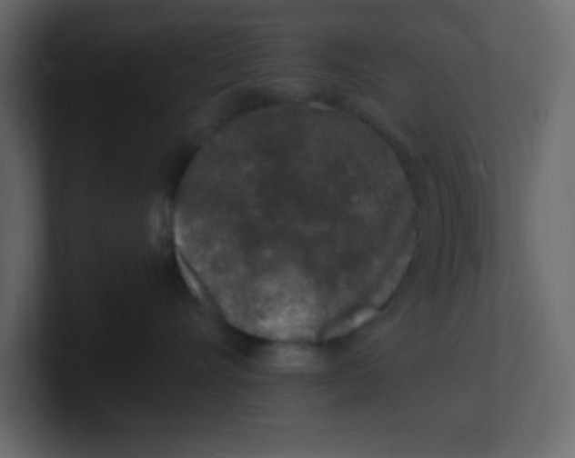 X0000100910528200807151141