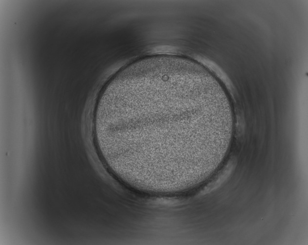 X0000100910529200807151140