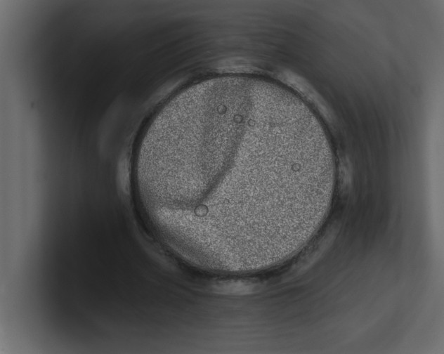 X0000100910533200807151141