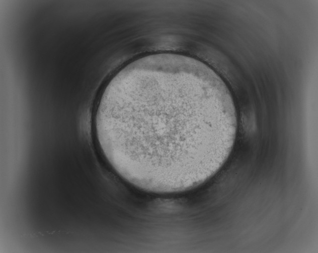 X0000100910534200807151141