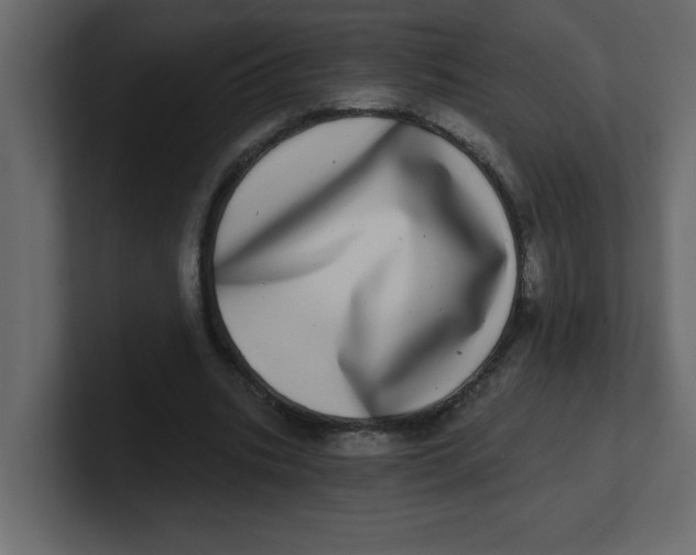 X0000100910535200807151141