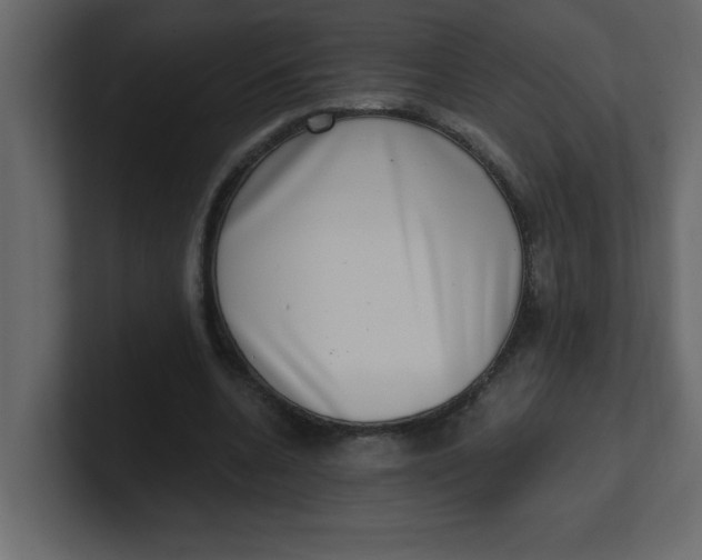 X0000100910536200807151141