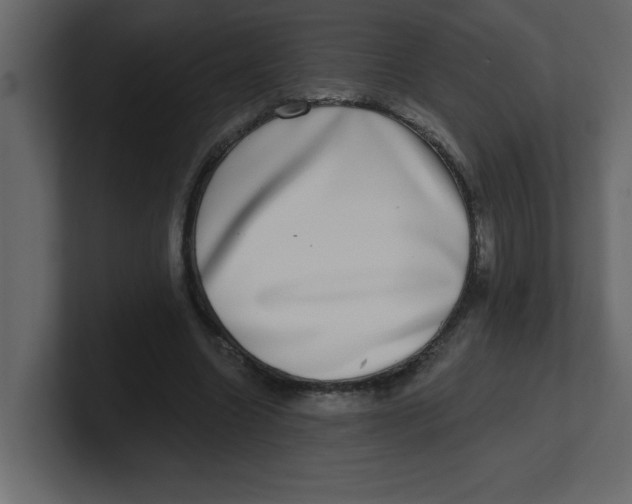 X0000100910538200807151141