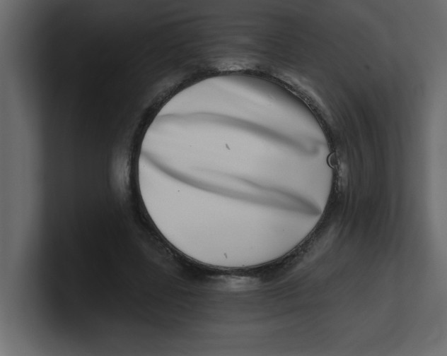 X0000100910539200807151141