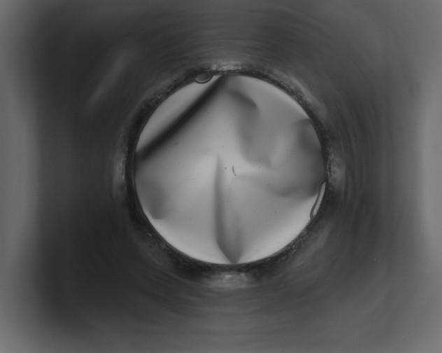 X0000100910543200807151141