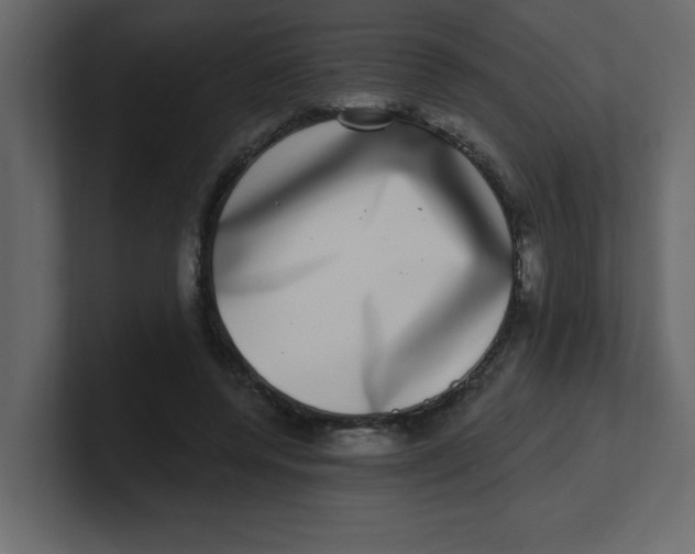 X0000100910544200807151141