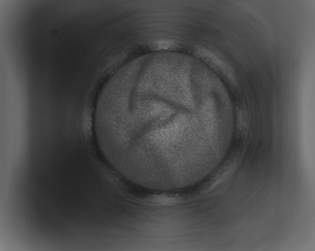 X0000100910545200807151141