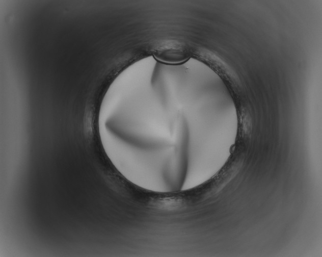 X0000100910546200807151141