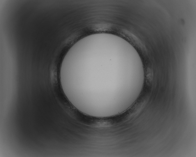 X0000100910547200807151141