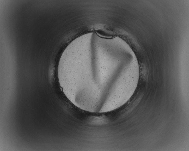 X0000100910548200807151141