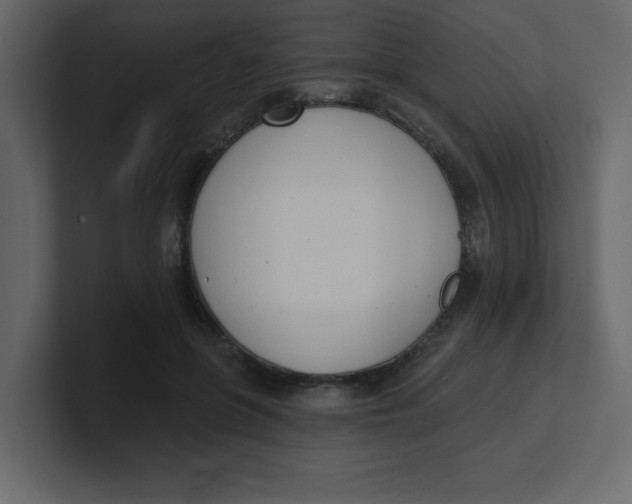 X0000100910551200807151141