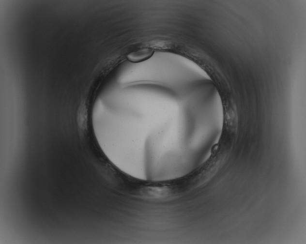 X0000100910552200807151141