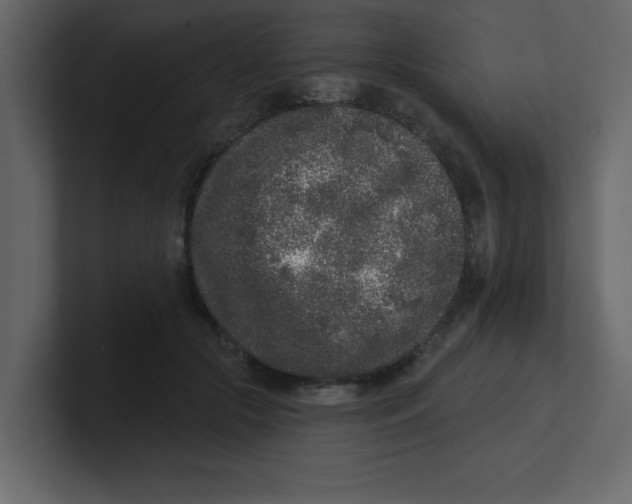 X0000100910553200807151141