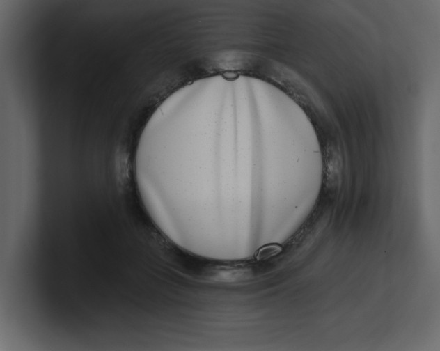 X0000100910555200807151141