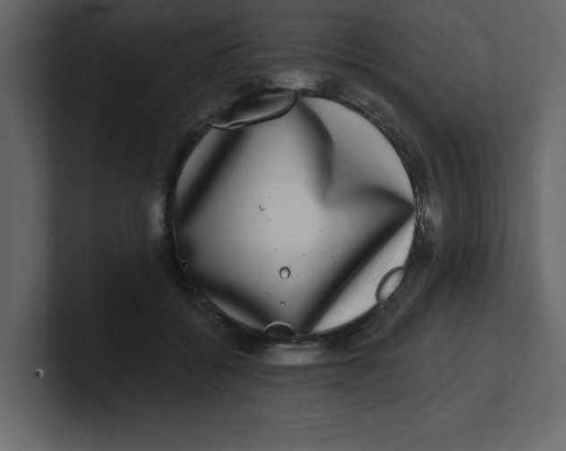 X0000100910556200807151141