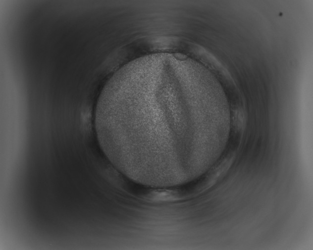 X0000100910557200807151141