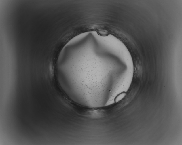 X0000100910558200807151141