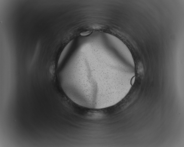 X0000100910559200807151141