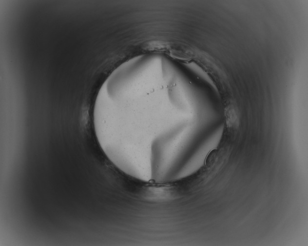 X0000100910560200807151141