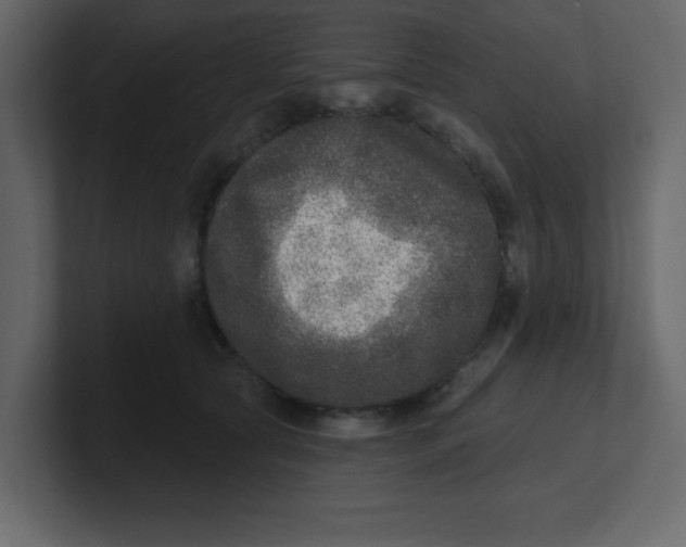 X0000100910561200807151141