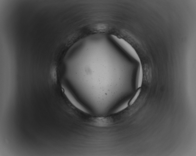 X0000100910562200807151141