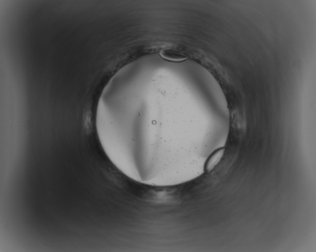 X0000100910564200807151141