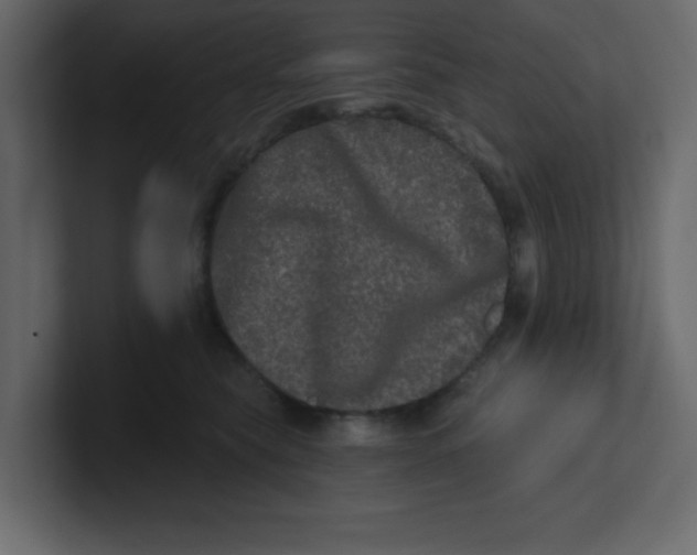 X0000100910565200807151141