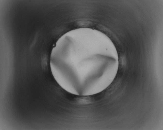 X0000100910567200807151141