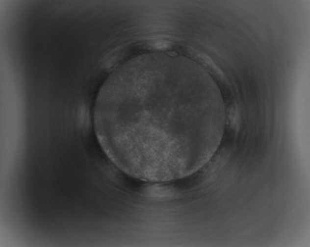 X0000100910568200807151141