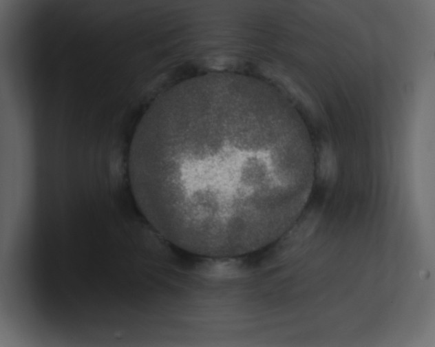 X0000100910569200807151141