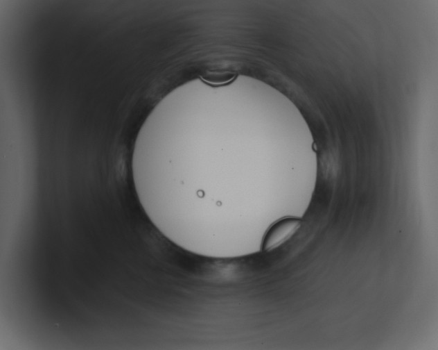 X0000100910570200807151141