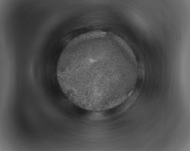 X0000100910573200807151141