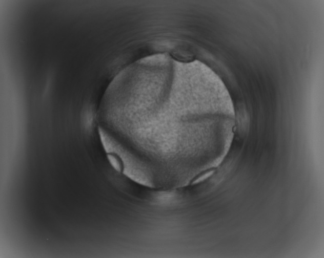 X0000100910574200807151141