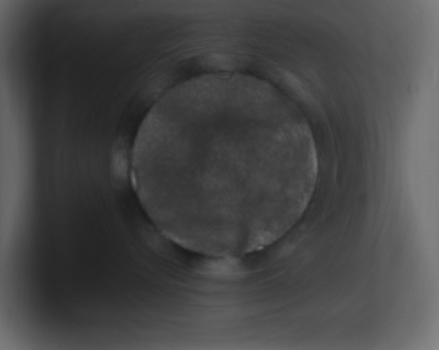 X0000100910576200807151141