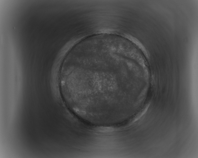 X0000100910577200807151140