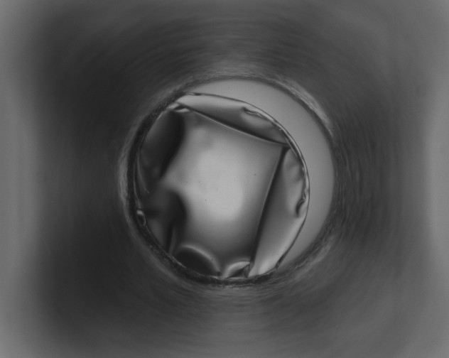 X0000100910581200807151140