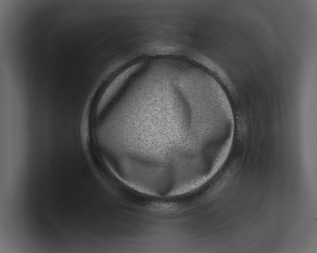 X0000100910582200807151140