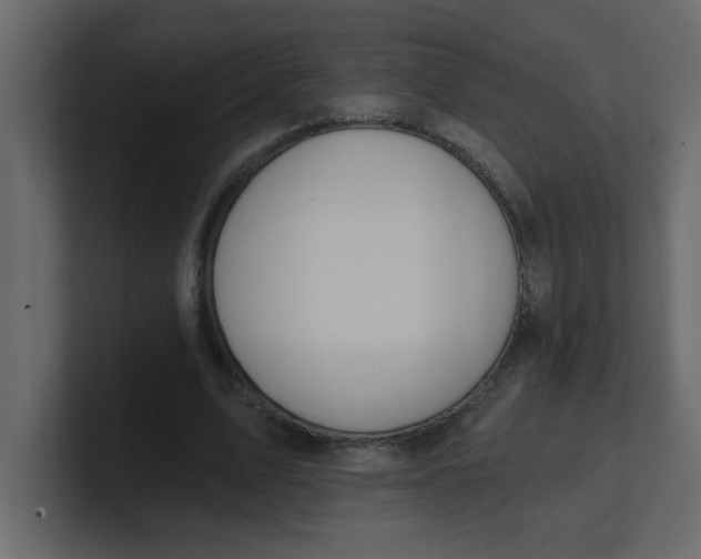 X0000100910583200807151140