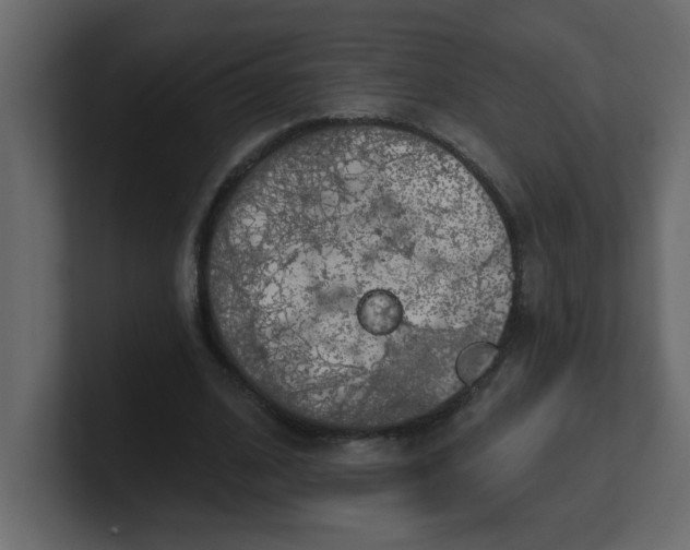 X0000100910584200807151140