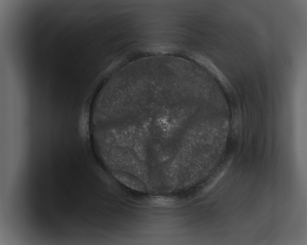 X0000100910585200807151140